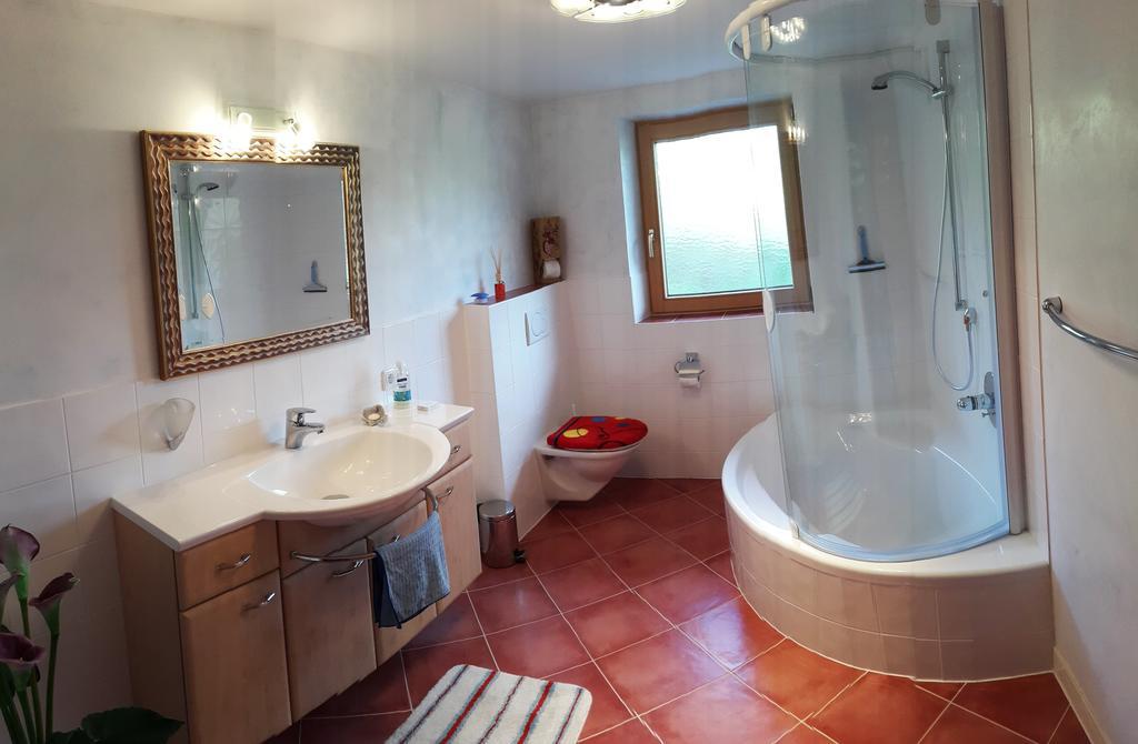 Schrandl Apartment Penningberg Hopfgarten im Brixental Phòng bức ảnh